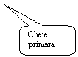 Rounded Rectangular Callout: Cheie primara