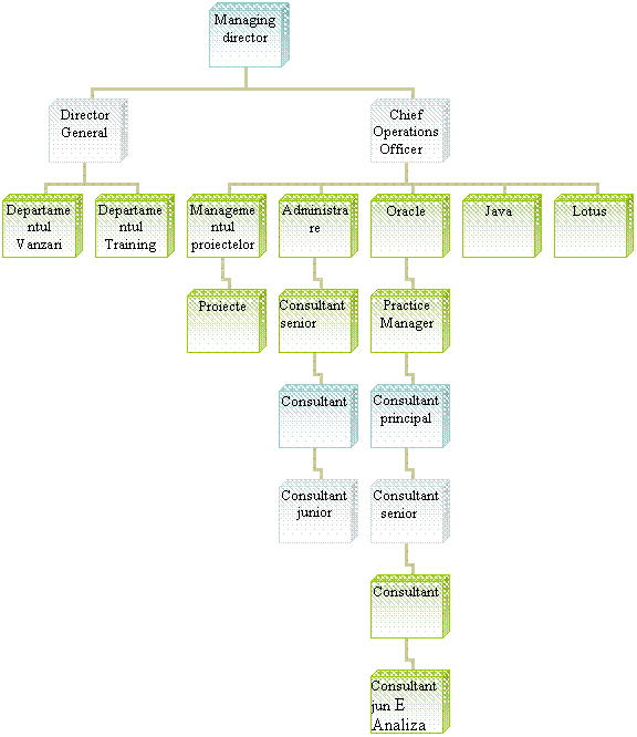 Organization Chart