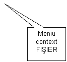 Rectangular Callout: Meniu context
FISIER
