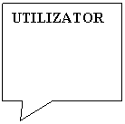 Rectangular Callout: UTILIZATOR