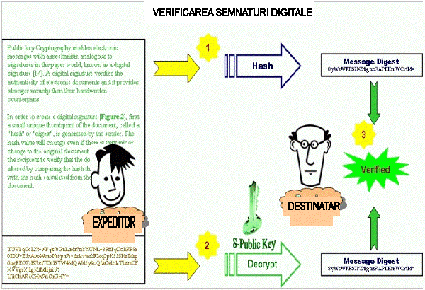 Figure 3: Digital Signature Verification,VERIFICAREA SEMNATURI DIGITALE,EXPEDITOR,DESTINATAR