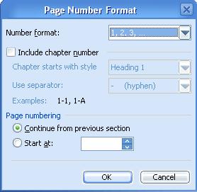 page number format