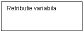 Text Box: Retributie variabila