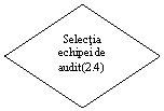 Diamond: Selectia echipei de audit(2.4)