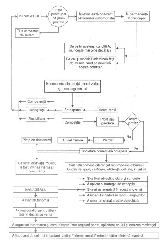 schema logica