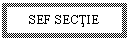 Text Box: SEF SECTIE


