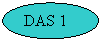 Oval: DAS 1