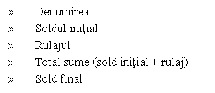 Text Box:  Denumirea
 Soldul initial
 Rulajul
 Total sume (sold initial + rulaj)
 Sold final

