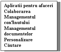 Text Box: Aplicatii pentru afaceri
Colaborarea
Managementul conținutului
Managementul documentelor
Personalizare
Cautare
Workflow
