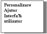 Text Box: Personalizare
Ajutor
Interfața utilizator

