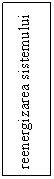 Text Box: reenergizarea sistemului