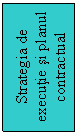 Text Box: Strategia de executie si planul contractual