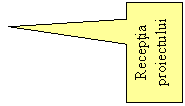 Rectangular Callout: Receptia proiectului