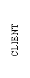 Text Box:        CLIENT