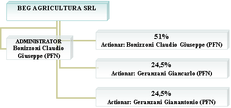 Organization Chart