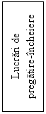 Text Box: Lucrari de
pregatire-incheiere
