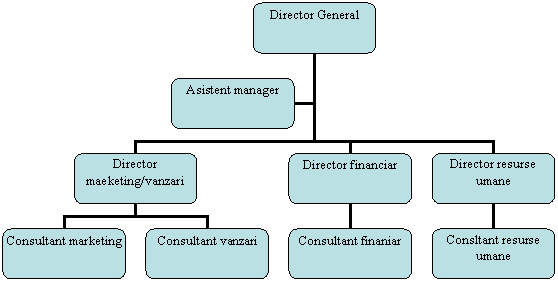 Organization Chart