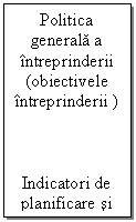 Text Box: Politica generala a intreprinderii  (obiectivele intreprinderii )



Indicatori de planificare si control
