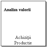 Text Box: Analiza valorii




Achizitii
Productie
Desfacere
