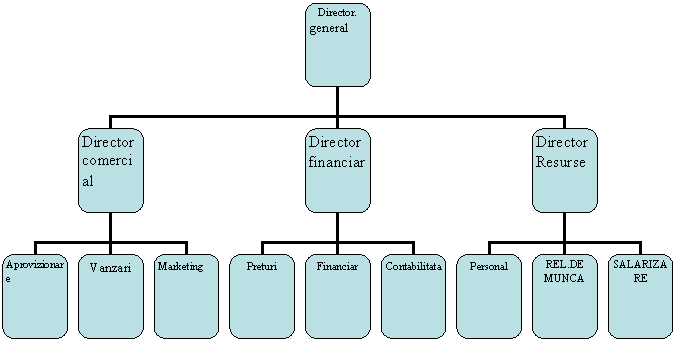 Organization Chart