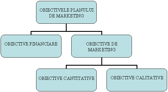 Organization Chart