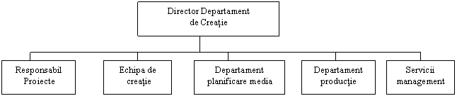 Text Box: Director Departament 
de Creatie
