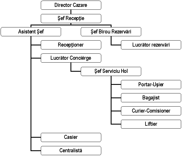 Organization Chart