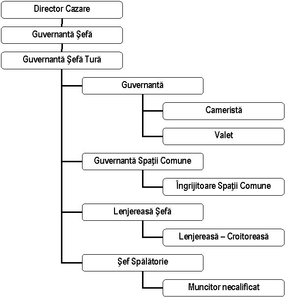 Organization Chart