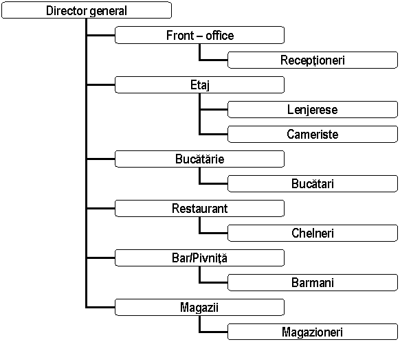 Organization Chart