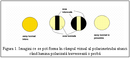 Text Box: 
Figura 7. Imagini ce se pot forma in campul vizual al polarimetrului atunci cand lumina polarizata traverseaza o proba
