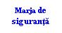 Text Box: Marja de siguranta