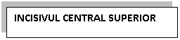 Text Box: INCISIVUL CENTRAL SUPERIOR