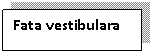 Text Box: Fata vestibulara