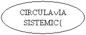 Oval: CIRCULAIA
SISTEMIC{
