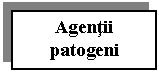 Text Box: Agentii patogeni