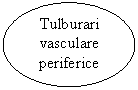 Oval: Tulburari vasculare periferice