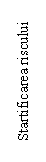 Text Box: Startificarea riscului 