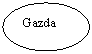 Oval: Gazda