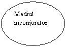 Oval: Mediul inconjurator