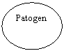 Oval: Patogen
