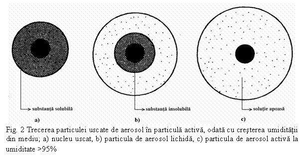 Text Box: 
Fig. 2 Trecerea particulei uscate de aerosol in particula activa, odata cu cresterea umiditatii din mediu; a) nucleu uscat, b) particula de aerosol lichida, c) particula de aerosol activa la umiditate >95%
