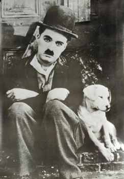 Buy Charlie Chaplin with Dog at Art.com