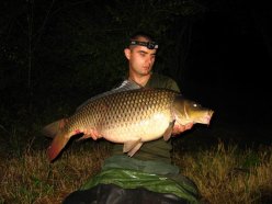 14,7 kg seduse de un boilies fara aroma, dar bogat in extracte naturale.