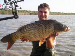 Florin cu un comun de 7,5 kg