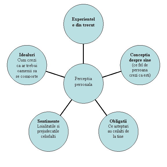 Radial Diagram