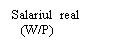 Text Box: Salariul  real
   (W/P)
