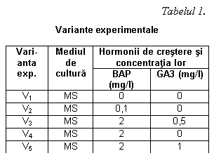 Text Box: Tabelul 1.
Variante experimentale 
Vari-anta exp. Mediul de cultura Hormonii de crestere si concentratia lor
 BAP (mg/l) GA3 (mg/l)
V1 MS 0 0
V2 MS 0,1 0
V3 MS 2 0,5
V4 MS 2 0
V5 MS 2 1




