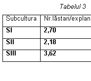 Text Box: Tabelul 3                                                                      
Subcultura	Nr.lastari/explant
SI	2,70
SII	2,18
SIII	3,62




