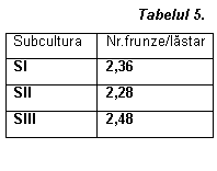 Text Box: Tabelul 5.                                                                       
Subcultura	Nr.frunze/lastar
SI	2,36
SII	2,28
SIII	2,48



