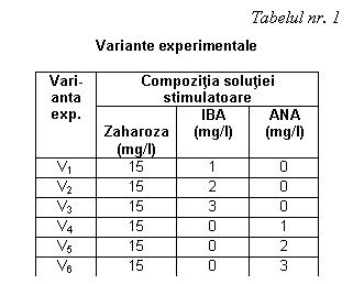 Text Box: Tabelul nr. 1
Variante experimentale 
Vari-anta exp. Compozitia solutiei stimulatoare
 
Zaharoza
(mg/l) IBA 
(mg/l) ANA
(mg/l)
V1 15 1 0
V2 15 2 0
V3 15 3 0
V4 15 0 1
V5 15 0 2
V6 15 0 3



